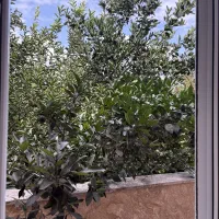 ویلایی ۳۰۰متری با ۱۵۰متر بنا شخصی ساز|فروش خانه و ویلا|بابل, |دیوار