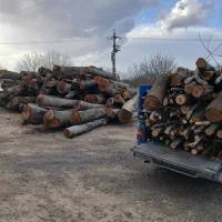 خریدار چوب هستم|خدمات باغبانی و درختکاری|نورآباد, |دیوار