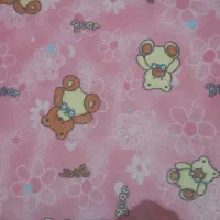 گلیم فرش|گلیم، جاجیم، گبه|زاهدان, |دیوار