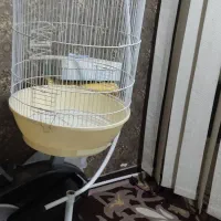 قفس پرنده بزرگ