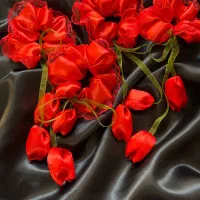 اکسسوری مو واسکرانچی و گلسر