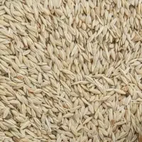 جو آبی شهبد