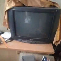 تلویزیون