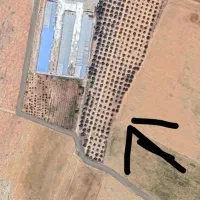 زمین کشاورزی بیضا پشت باغ|فروش زمین و ملک کلنگی|بیضا, |دیوار