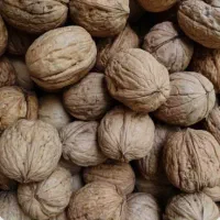 گردو خوب درجه یک