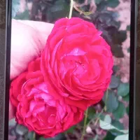 گوشیA35