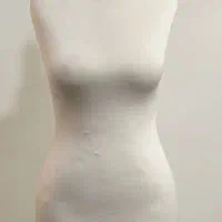 مانکن سوزن خور