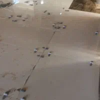 کاشی.کارسنگ.کار