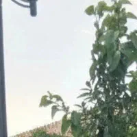 راهنمایی داوطلبانه