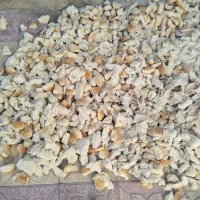 برای خوراک دام عالی است