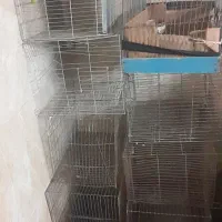 قفس قناری کوچک و بزرگ
