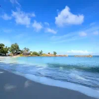 تورهای داخلی و خارجی