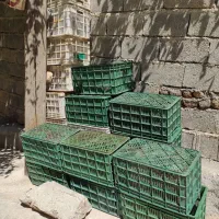 سبد محکم 20 کیلوی گوجه