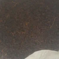 کشمش آفتابی پلویی