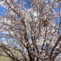 زمین-کشاورزی