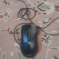 موس فراسو سالم و نو