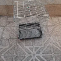 قفس پرنده بزرگ سایز ۵۰ در ۵۰|لوازم جانبی حیوانات|ری, حمزهآباد|دیوار