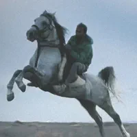 نریان کرد جنگنده