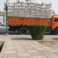 کاه گندم سفید