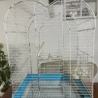 قفس پرنده|لوازم جانبی حیوانات|رشت, باهنر|دیوار