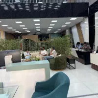 استخدام محدود مشاور حرفه ای/شرایط ویژه