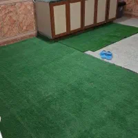 اجاره روزانه منزل مبله نخل تقی|اجارهٔ کوتاهمدت آپارتمان و سوئیت|عسلویه, |دیوار