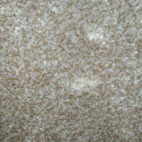 موکت عمده|موکت|اهواز, نادری|دیوار