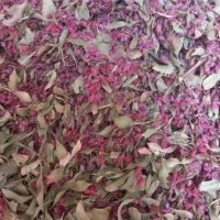 زرشک پفکی تالاری درجه یک  حدود 2 تن