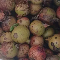 وسایل مورد نیاز