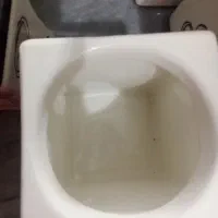 سرویس پا سماوری نو|ظروف نگهدارنده، پلاستیکی، یکبارمصرف|گرگان, |دیوار