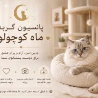 پانسیون گربه Moon