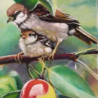 آموزش طراحی و نقاشی