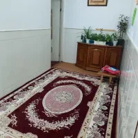 ملک-ویلایی-عطاران