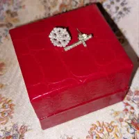 گوشواره نقره