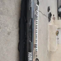 ارگ P700|پیانو، کیبورد، آکاردئون|خورموج, |دیوار