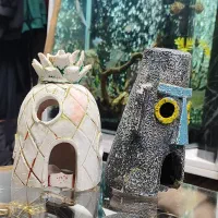 مجسمه اکواریوم|ماهی|نهاوند, |دیوار