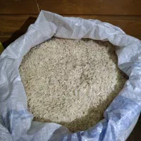 فروش برنج محلی فجر نورآباد