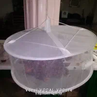 میوه خشک کن و سبزی خشک کن