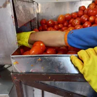آب گوجه گیری