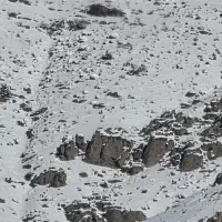 450-متر-زمین-ناران