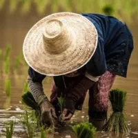 سمینار ویژه کشاورزان رایگان