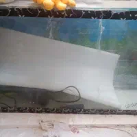 آکواریوم