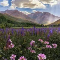 زیباییهای لرستان و خوزستان رو با ما کشف کنید