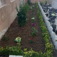 خدمات باغبانی کاشت گل وگیاه باغچه کاری درخت گلکاری