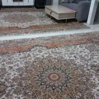 فرش 4×3|فرش|فیروزه, |دیوار