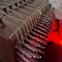 سنتور تک مهر موسوی|سازهای سنتی|تبریز, |دیوار