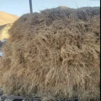 یونجه علوفه مکان روستای های آوج هستش