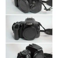 دوربین 250D Canon & Lens50mm 1.8|دوربین عکاسی و فیلمبرداری|رشت, قاسمیه|دیوار