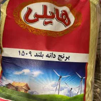 برنج هندی هایلی