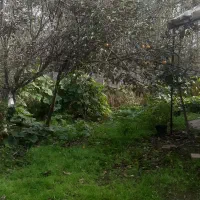 خانه روستایی|فروش خانه و ویلا|رودبنه, |دیوار